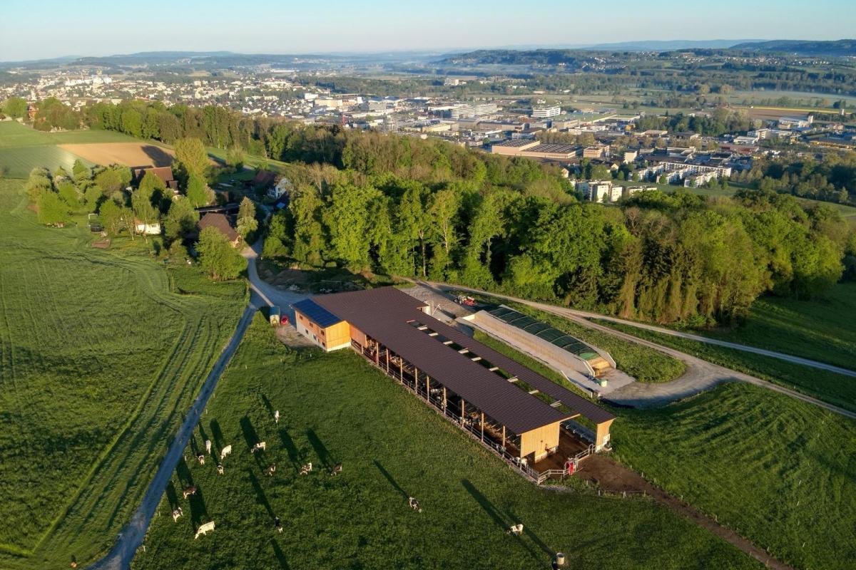 Betrieb oberhalb Frauenfeld