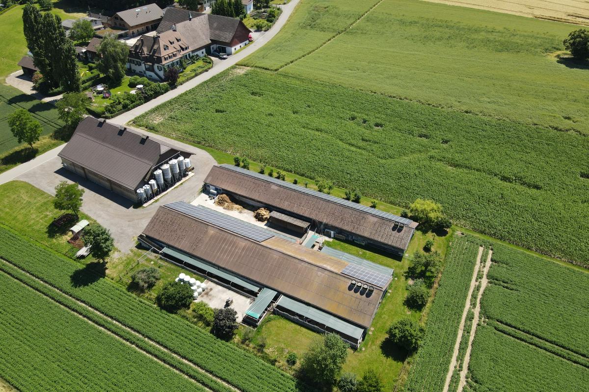Gutsbetrieb Brunnegg, Marcel Gerber