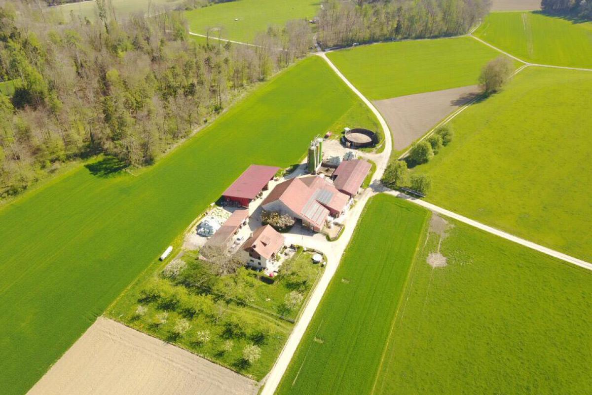 Betrieb Stockenhof Vogelperspektive