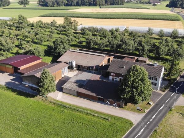 Betrieb mit Hochstammmostobst und Folientunnel 